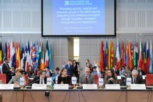 Stability and economic growth for preventing and fighting corruption 